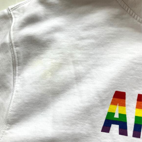 Zadig & Voltaire Sanchi Amour Wings Logo Hoodie Size XL White Rainbow - Picture 7 of 7